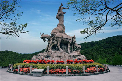 全套服务包含项目及其特点